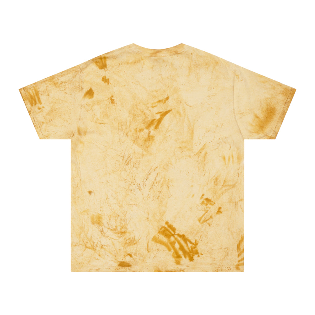 Official Shibari Store x Anatomie Studio Skull Logo - Tie-Dye Unisex Tee